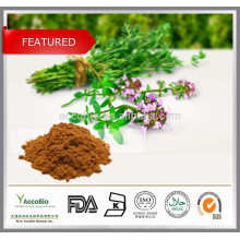 Top quality 100% natural Thyme extract,Thyme extract powder, Thyme liquid extract